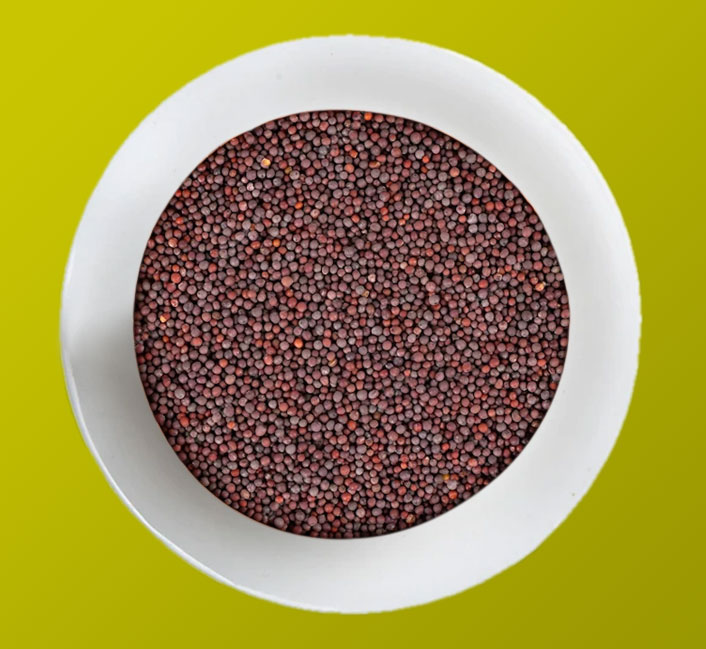 Mustard Buy Online